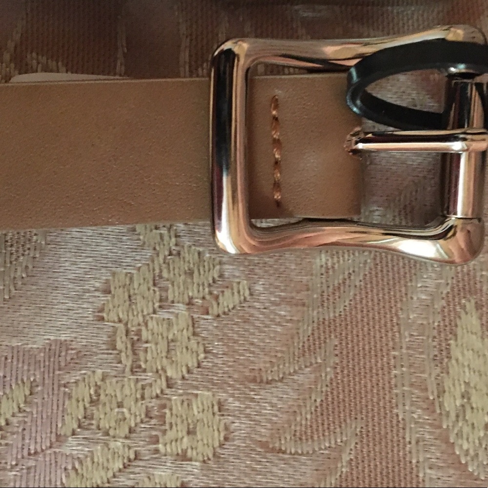 Steve Madden and Additional Navy Ladies Belt